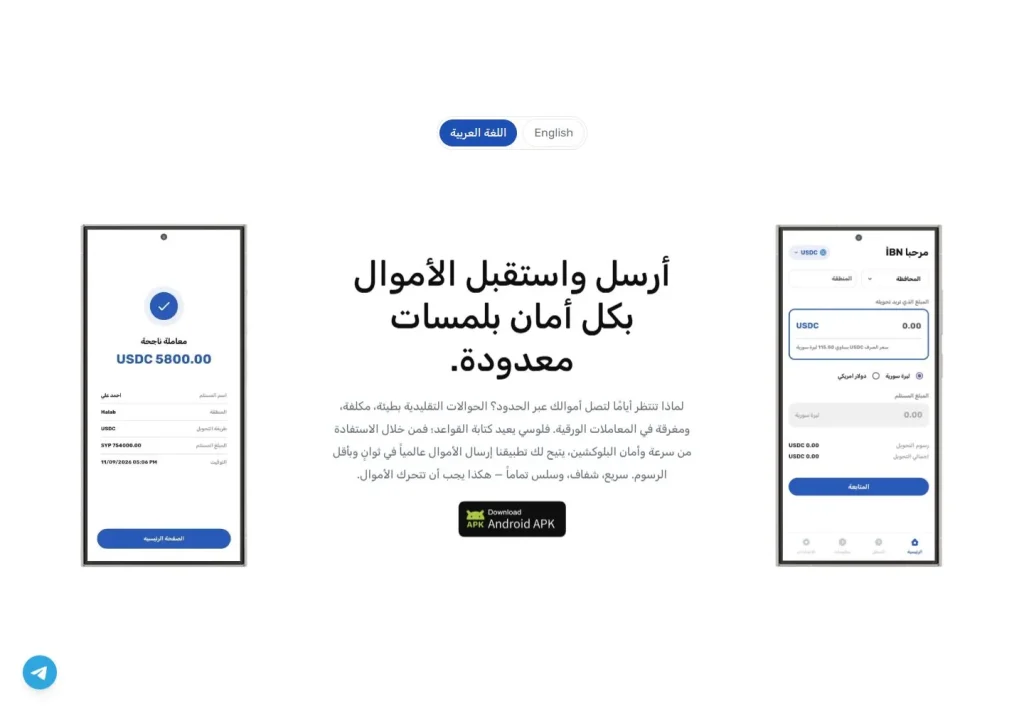 لقطة من موقع Floosy — مشروع تقنية من أعمال بيلسان