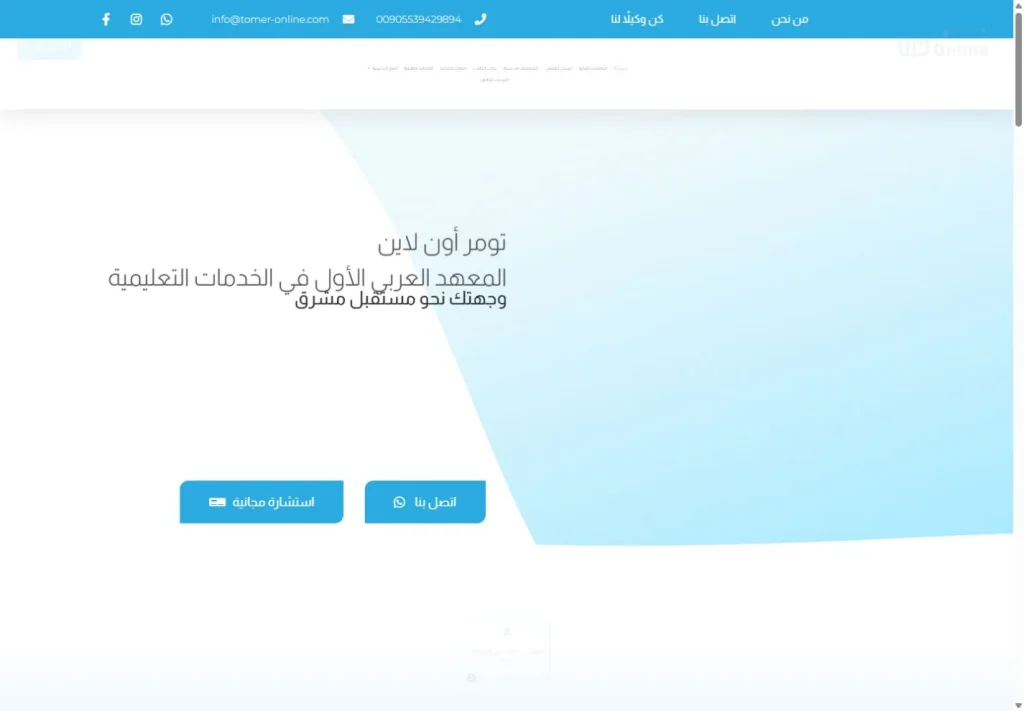 لقطة من موقع Tomer Online — مشروع تعليم وتدريب من أعمال بيلسان