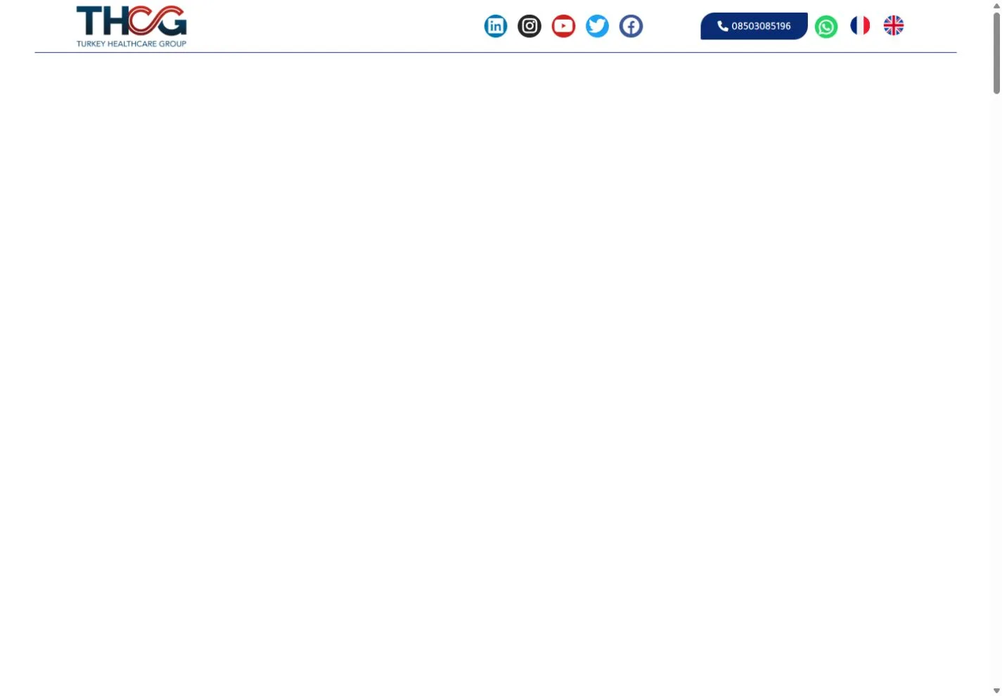 Actual website screenshot Turkey Healthcare Group by Baylasan